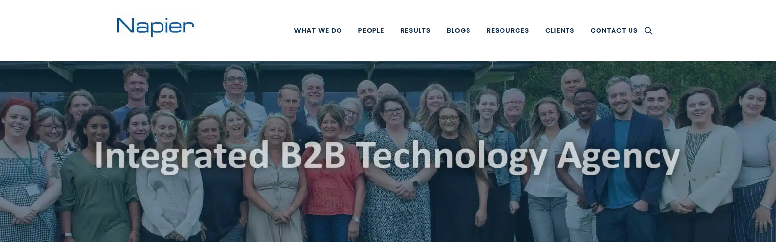 Napier website